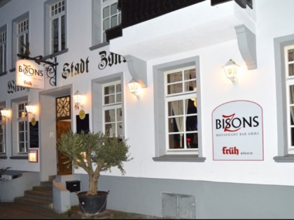照片: Bisons