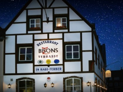 照片: Bisons